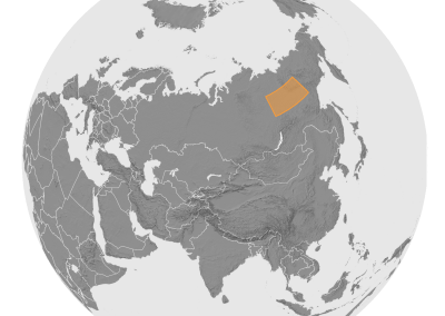 Siberia Wildfire Mapping (High-Res Large-Scale Mapping)