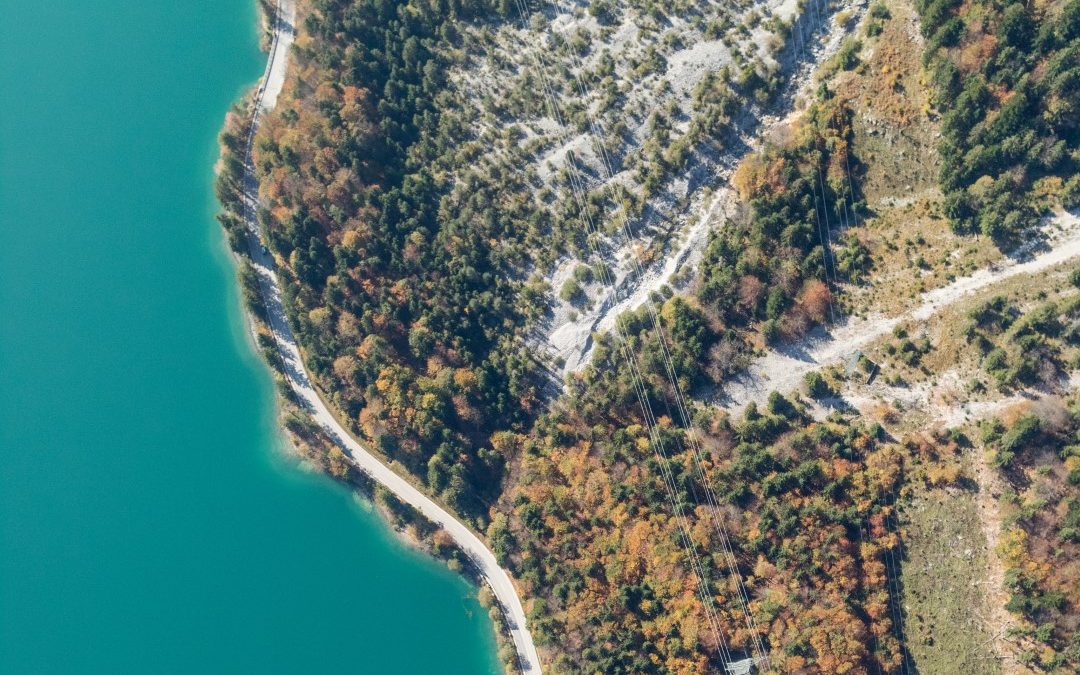 Aerial Photogrammetric Mapping of Alpine Forests