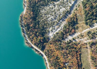 Aerial Photogrammetric Mapping of Alpine Forests