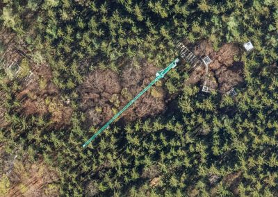 Multi-Seasonal Aerial Photogrammetric Mapping of Tree Species Composition